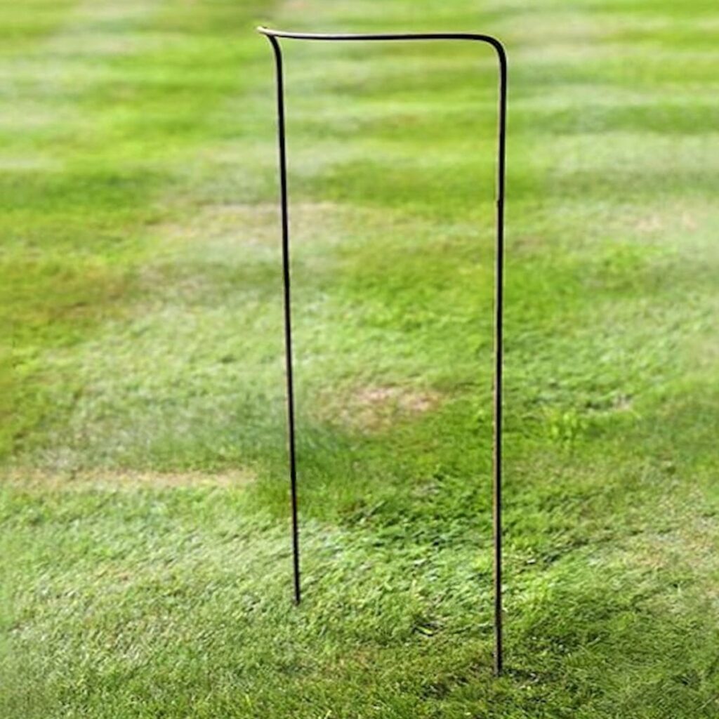 Curved Steel Plant Support 30cm x 80cm 5065022557777